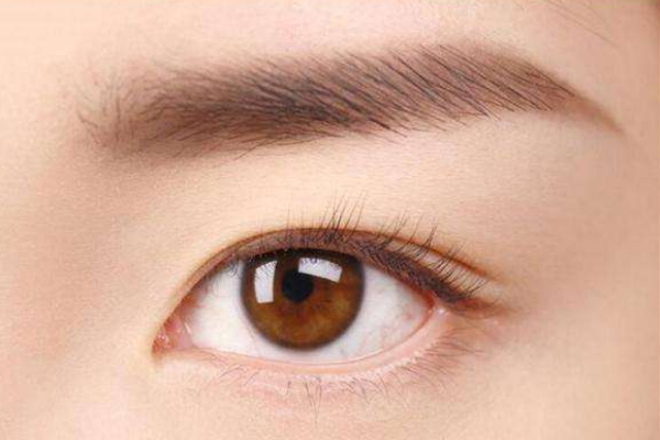 ���ֵ�ױ�̳̣�����������